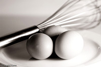 brief eggs_eggs sepia-4