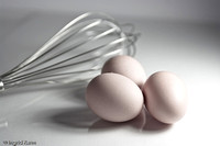 brief eggs_eggs colour-2