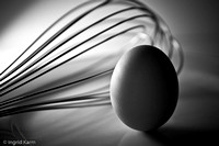 brief eggs_eggs sepia-6