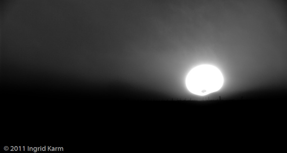 fog-3018