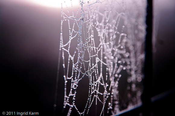 bokeh-3042-2
