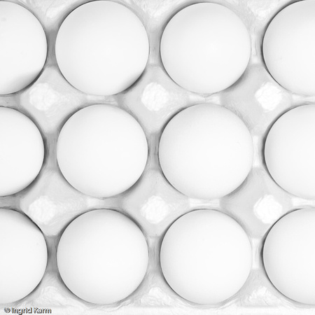 brief eggs_eggs sepia-7
