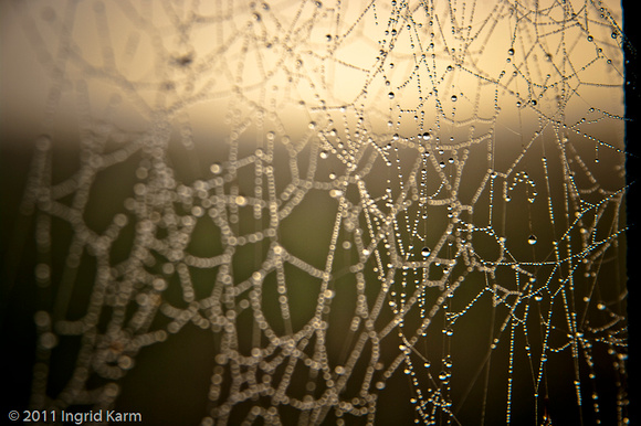 bokeh-3039