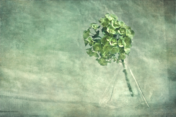 floral vintage-0450