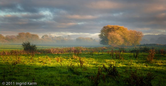 fog-3075