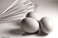 brief eggs_eggs sepia-3