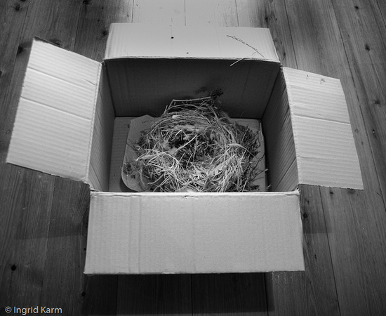 brief storytelling_empty nest-3